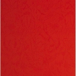 PLATS DE COUVERTURE, GRAIN CUIR, A4, ROUGE - LOT DE 2