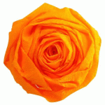 LOT DE 2 - PAPIER CRÉPON, PAQUET DE 10 FEUILLES PLIÉES 40% AU FORMAT 2X0,50M - JAUNE OR