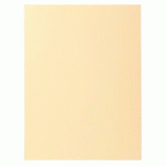 LOT DE 5 - PAQUET 100 CHEMISES SUPER 210 - 24X32CM - IVOIRE