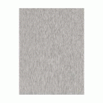 TAPIS EXTÉRIEUR - 120 X 160 CM - GRIS - 192 000PTS/M2 - PILAT AVRIL PARIS