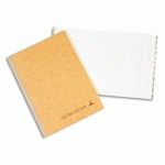 PIQÛRE JOURNAL FOLIOTE LE DAUPHIN - 21 X 29,7 CM - 100 PAGES