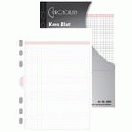 50304 - AVERY ZWECKFORM CHRONOPLAN KARO BLATT, A5, 50 BLATT