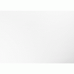 CARTA, PAQUET DE 25 FEUILLES 270G/M² SOUS/FILM AU FORMAT 50X70CM - BLANC - LOT DE 2