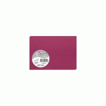LOT DE 3 - PAQUET DE 25 CARTES SIMPLES POLLEN 110X155MM 210G/M2 - FRAMBOISE