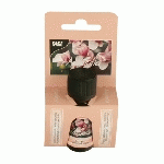 HUILE PARFUMÉE 10 ML MAGNOLIA