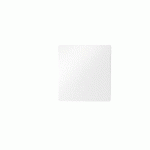 MODULE RED3 POUR GESTION DE 2 ZONES DE CHAUFFAGE SAUNIER DUVAL