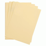 MAYA RAME 250F 50X70CM 120G - CHAMOIS