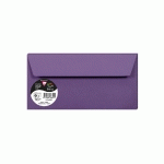 PAQUET DE 5 ENVELOPPES POLLEN 110X220MM 120G/M2 - VIOLINE - LOT DE 10