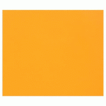TULIPE RAME 100F A4 160G - ORANGE VIF