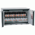ARMOIRE SÉCURITÉ SOUS PAILLASSE UB-T-30 UB30.060.110.2T GRIS - ASECOS