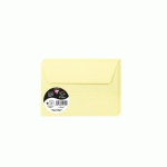 PAQUET DE 20 ENVELOPPES POLLEN 114X162MM 120G/M2 - CANARI - LOT DE 4