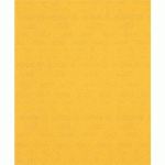 BOSCH 50 FEUILLE ABRASIVE BOIS ET PEINTURE C470 EXPERT 230X280MM - BOSCH