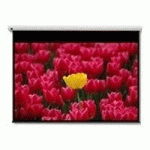 OPTOMA PANTALLA 16:9 2656 X 1494MM ÉCRAN DE PROJECTION 3,05 M (120")