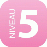 PLAQUE SIGNALÉTIQUE EN DRAPEAU PLEXI - NIVEAU 5 (ROSE)