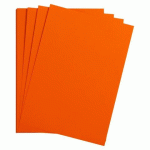 LOT DE 2 - MAYA RAME 25F A4 185G - ORANGE