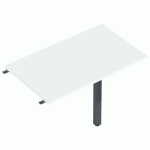 ENIS RETOUR 100 X 60 CM + 1 PIED ANTH. PLT. BLANC - MBA