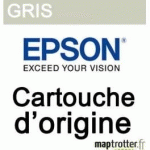 EPSON - T6067 - CARTOUCHE D'ENCRE GRISE - PRODUIT D'ORIGINE - 220ML - C13T606700