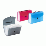 LOT DE 6 - TRIEUR VALISETTE EXTENSIBLE 24 COMPARTIMENTS PROPYGLASS - VIQUEL - 38,5 X 25,5 X 12 CM
