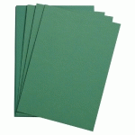 ETIVAL COLOR PAQUET 24F 50X65CM 160G - VERT FONCÉ