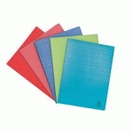 PROTÈGE-DOCUMENTS EXACOMPTA FOREVER POLYPROPYLÈNE OPAQUE A4 40 POCHETTES COULEURS ASSORTIES - LOT DE 12