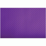 SET DE TABLE 30X40 CM - TISS-LACK VIOLET - COGIR