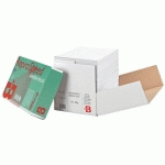 PAPIER 100 % RECYCLÉ A4 BLANC 80 G BRUNEAU REPROSPEED GREEN PLUS - BOÎTE DE 2500 FEUILLES
