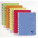 CAHIER RELIURE INTÉGRALE LINICOLOR FRESH 24X32CM 100 PAGES PETITS CARREAUX COUVERTURE PLASTIQUE POLYPROPYÈNE RAINURÉ COULEUR ALÉATOIRE - ASSORTIS - LOT DE 10
