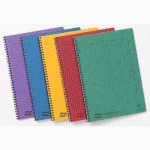 NOTEMAKER EUROPA CAHIER RELIURE INTÉGRALE A4 120 PAGES DÉTACHABLES LIGNÉ - ASSORTIS - LOT DE 10