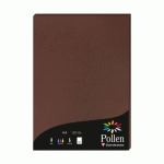 LOT DE 2 - ETUI DE 50 FEUILLES POLLEN 210X297MM 120G/M2 - CACAO