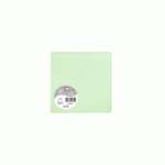 LOT DE 2 - PAQUET DE 25 CARTES SIMPLES POLLEN 135X135MM 210G/M² - VERT