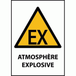 LOT DE 2 - PANNEAU DE DANGER - ATMOSPHÈRE EXPLOSIVE - W021 - ISO 7010 VINYLE SOUPLE AUTOCOLLANT A4