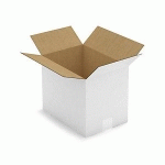 CAISSE CARTON BLANCHE SIMPLE CANNELURE RAJA 31X22X25 CM