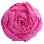 LOT DE 14 - PAPIER CRÉPON, CYCLAMEN