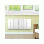 RADIATEUR CHAUFFAGE CENTRAL ACOVA - FASSANE VERTICAL DOUBLE 2574W HXD-250-066