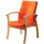 FAUT. REPOS SILVER 2452 HÊTRE GINKO ORANGE CITROUILLE