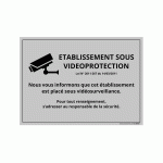 PANNEAU D'INFORMATION - ÉTABLISSEMENT SOUS VIDÉOPROTECTION -  - 210 X 150 MM - VINYLE SOUPLE AUTOCOLLANT - GRIS - LOT DE 2