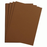 ETIVAL COLOR PAQUET 25F A3 160G - MARRON - LOT DE 2