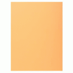 LOT DE 5 - PAQUET 100 CHEMISES 1 RABAT SUPER 160 - 24X32CM - BULLE