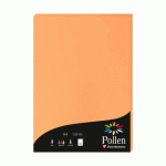 LOT DE 2 - ETUI DE 50 FEUILLES POLLEN 210X297MM 120G/M2 - CLÉMENTINE