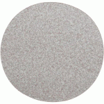 DISQUE AUTO-AGRIPPANT PRO Ø150X0MM GRAIN 100 - NORTON