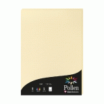 ETUI DE 50 FEUILLES POLLEN 210X297MM 120G/M2 - CHAMOIS - LOT DE 3