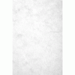 CARTE EUROPA PAQUET 50F A4 256G - BLANC - LOT DE 100