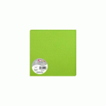LOT DE 2 - PAQUET DE 25 CARTES SIMPLES POLLEN 160X160MM 210G/M2 - VERT MENTHE