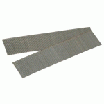 POINTES POUR CLOUEUSE - 1X1,25 MM - LONGUEUR 25MM - 5000 PIÈCES LACMÉ
