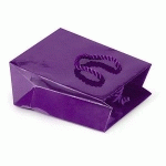 SAC PELLICULÉ BRILLANT VIOLET 12X16X7 CM