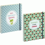 NOTEBOOK EXACOMPTA - DODO AND CATH - LIGNE - SPIRALE - 1 SEMAINE SUR 2 PAGES - 21 X 15 CM - 160 PAGES - ASSORTIS