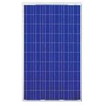 PANNEAU SOLAIRE POLYCRYSTALLINE YINGLI SOLAR YL 220 W