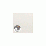 PAQUET DE 25 CARTES PLIÉES POLLEN 160X160MM 210G/M2 - GRIS PERLE