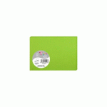 LOT DE 3 - PAQUET DE 25 CARTES SIMPLES POLLEN 110X155MM 210G/M2 - VERT MENTHE
