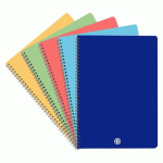 LOT DE 5 - CAHIER SPIRALE ACIDULÉ BRUNEAU A4 21 X 29,7 CM PETITS CARREAUX 100 PAGES